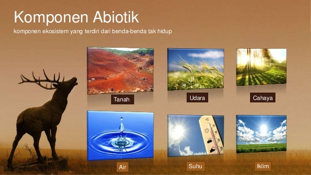 Makhluk hidup dalam ekosistem alami