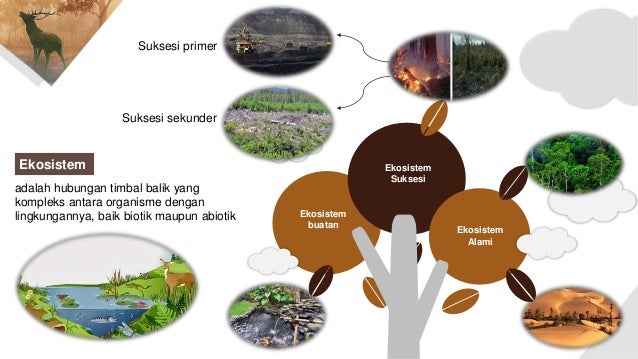 Makhluk Hidup Dalam Ekosistem Alami