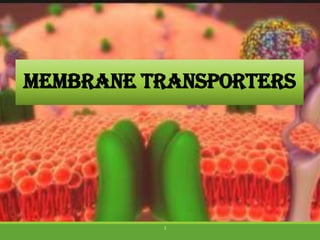 MEMBRANE transporters
1
 