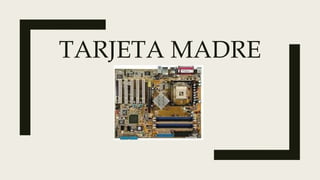 TARJETA MADRE
 