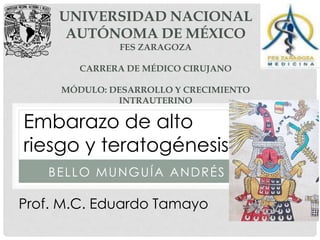 BELLO MUNGUÍA ANDRÉS
UNIVERSIDAD NACIONAL
AUTÓNOMA DE MÉXICO
FES ZARAGOZA
CARRERA DE MÉDICO CIRUJANO
MÓDULO: DESARROLLO Y CRECIMIENTO
INTRAUTERINO
Embarazo de alto
riesgo y teratogénesis
1107
Prof. M.C. Eduardo Tamayo
 