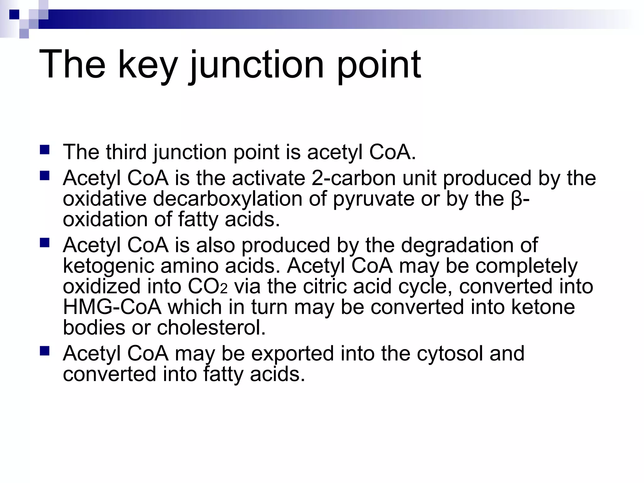 The key junction point 
 The third junction point is acetyl CoA. 
 Acetyl CoA is the activate 2-carbon unit produced by the 
oxidative decarboxylation of pyruvate or by the β- 
oxidation of fatty acids. 
 Acetyl CoA is also produced by the degradation of 
ketogenic amino acids. Acetyl CoA may be completely 
oxidized into CO2 via the citric acid cycle, converted into 
HMG-CoA which in turn may be converted into ketone 
bodies or cholesterol. 
 Acetyl CoA may be exported into the cytosol and 
converted into fatty acids. 
 
