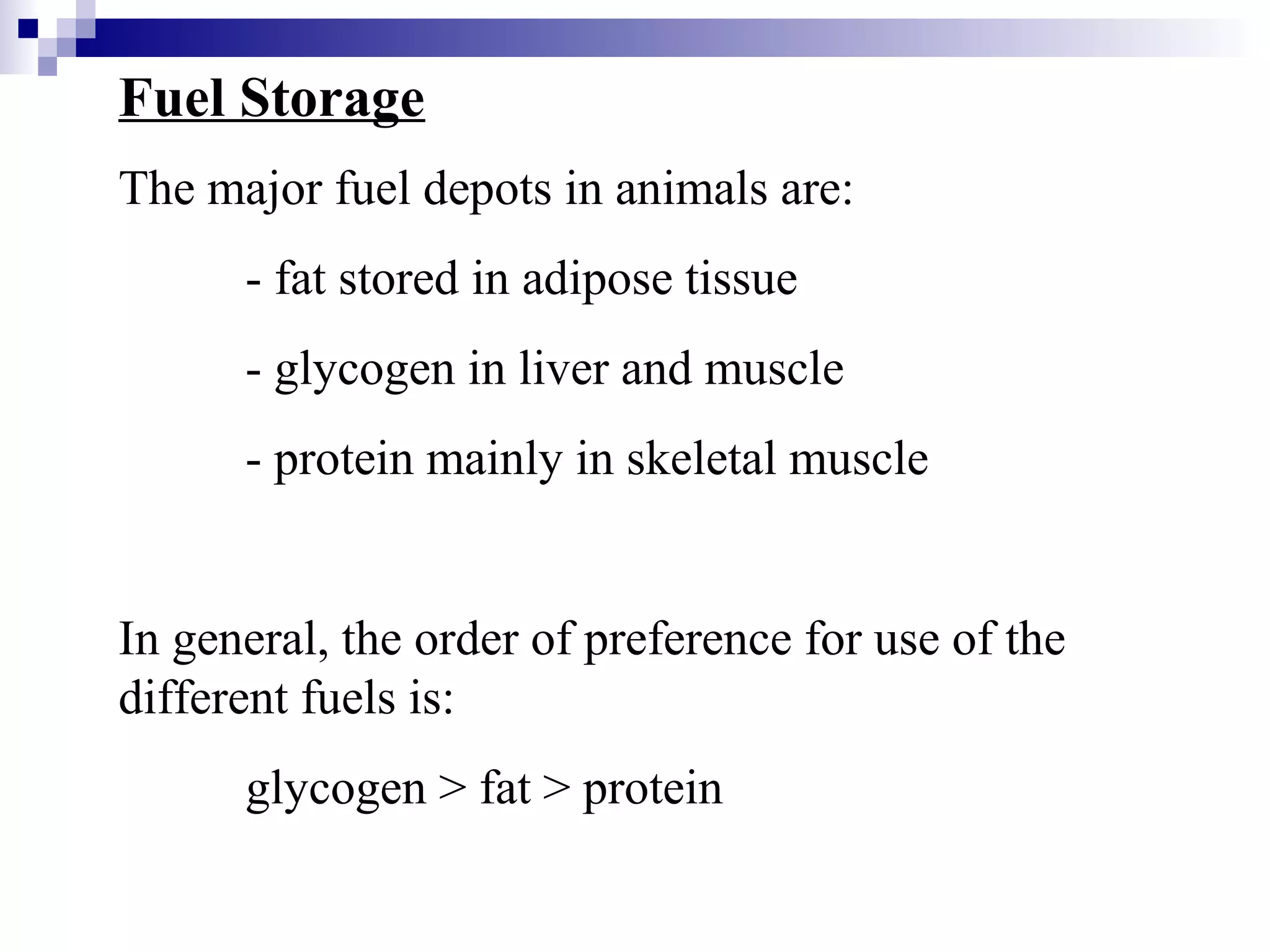 Fuel Storage 
The major fuel depots in animals are: 
- fat stored in adipose tissue 
- glycogen in liver and muscle 
- protein mainly in skeletal muscle 
In general, the order of preference for use of the 
different fuels is: 
glycogen > fat > protein 
 