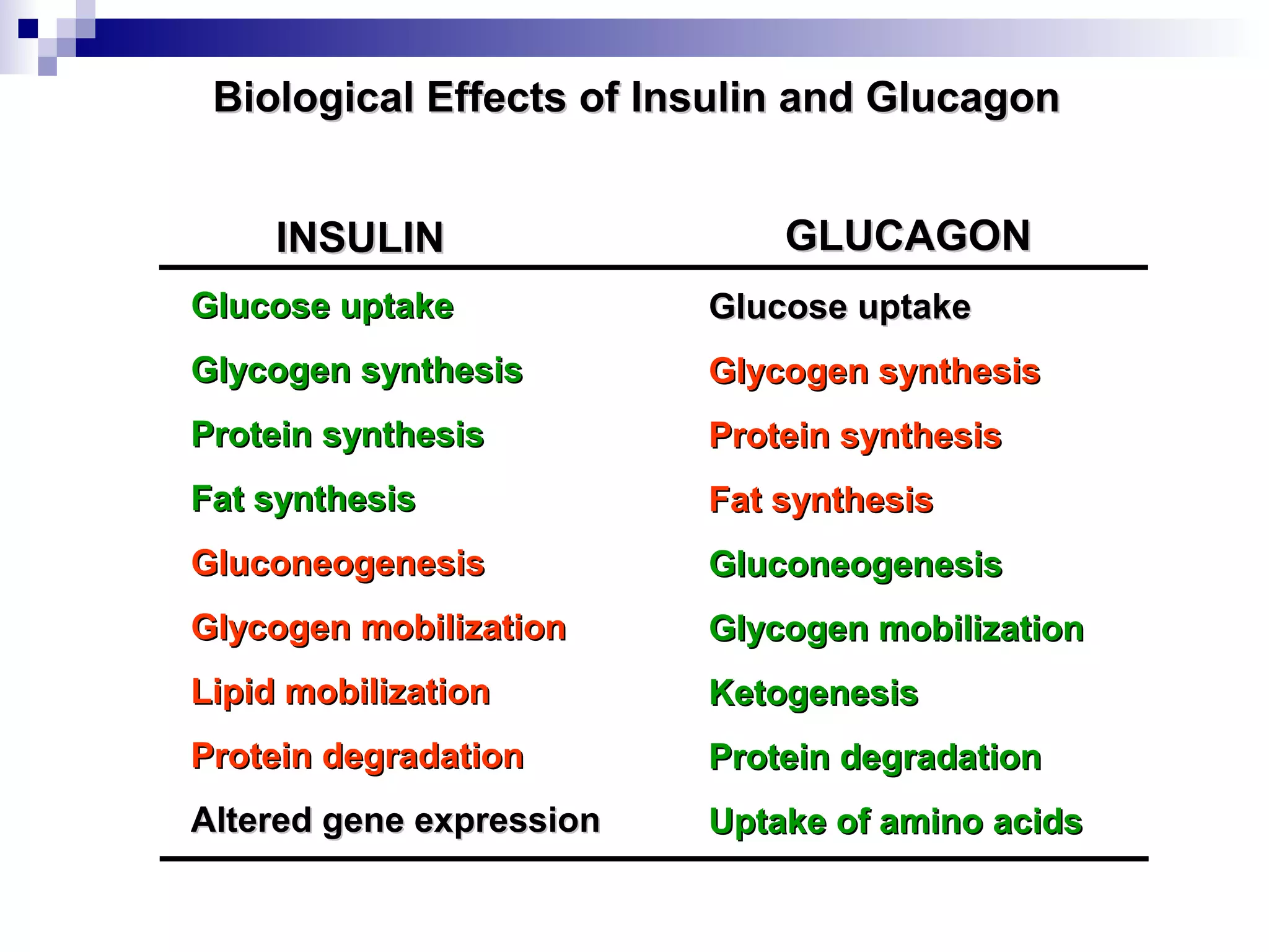 Biological Effects of Insulin aanndd GGlluuccaaggoonn 
IINNSSUULLIINN GGLLUUCCAAGGOONN 
GGlluuccoossee uuppttaakkee 
GGllyyccooggeenn ssyynntthheessiiss 
PPrrootteeiinn ssyynntthheessiiss 
FFaatt ssyynntthheessiiss 
GGlluuccoonneeooggeenneessiiss 
GGllyyccooggeenn mmoobbiilliizzaattiioonn 
LLiippiidd mmoobbiilliizzaattiioonn 
PPrrootteeiinn ddeeggrraaddaattiioonn 
AAlltteerreedd ggeennee eexxpprreessssiioonn 
GGlluuccoossee uuppttaakkee 
GGllyyccooggeenn ssyynntthheessiiss 
PPrrootteeiinn ssyynntthheessiiss 
FFaatt ssyynntthheessiiss 
GGlluuccoonneeooggeenneessiiss 
GGllyyccooggeenn mmoobbiilliizzaattiioonn 
KKeettooggeenneessiiss 
PPrrootteeiinn ddeeggrraaddaattiioonn 
UUppttaakkee ooff aammiinnoo aacciiddss 
 