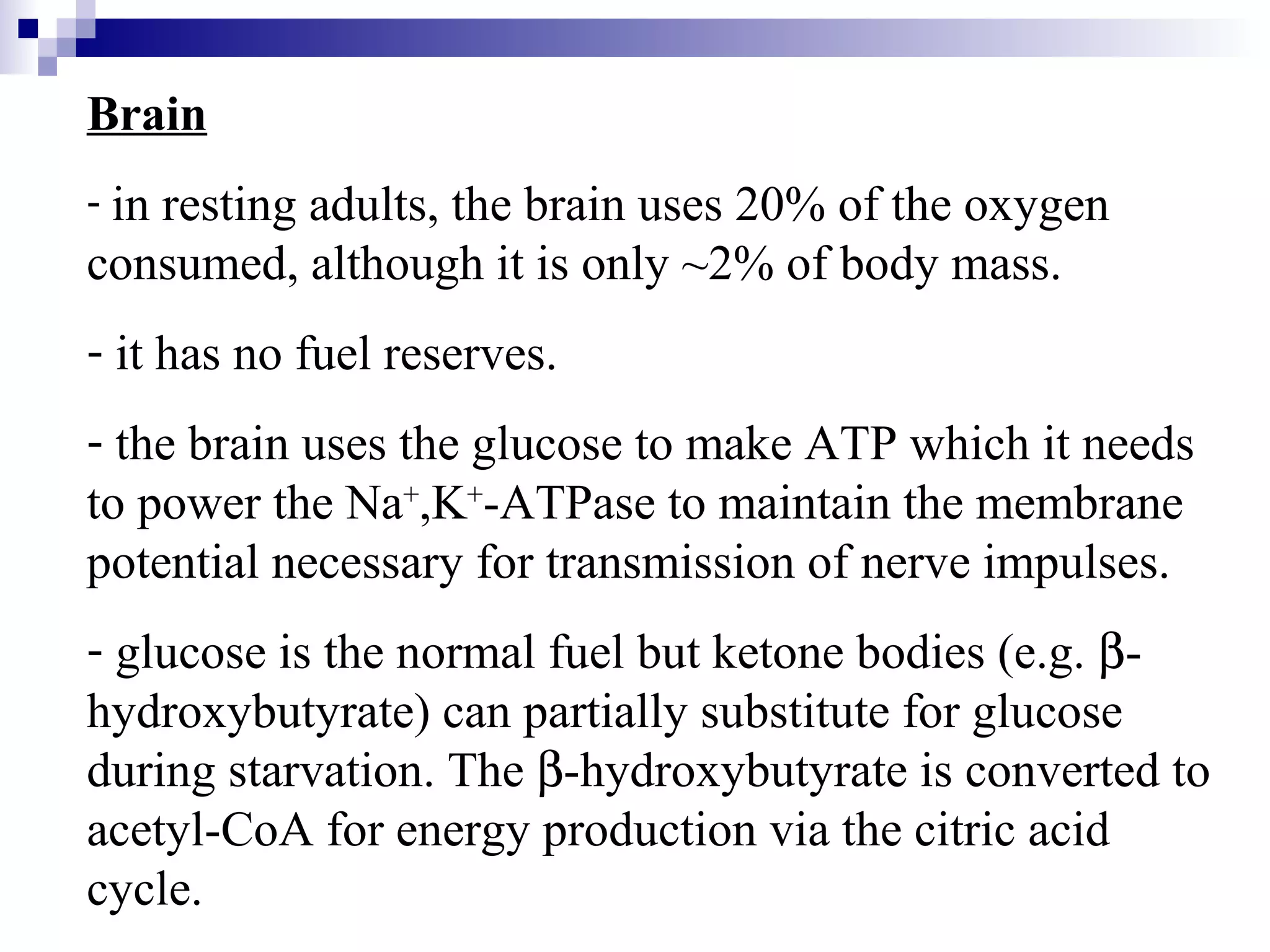 Brain 
- in resting adults, the brain uses 20% of the oxygen 
consumed, although it is only ~2% of body mass. 
- it has no fuel reserves. 
- the brain uses the glucose to make ATP which it needs 
to power the Na+,K+-ATPase to maintain the membrane 
potential necessary for transmission of nerve impulses. 
- glucose is the normal fuel but ketone bodies (e.g. b- 
hydroxybutyrate) can partially substitute for glucose 
during starvation. The b-hydroxybutyrate is converted to 
acetyl-CoA for energy production via the citric acid 
cycle. 
 