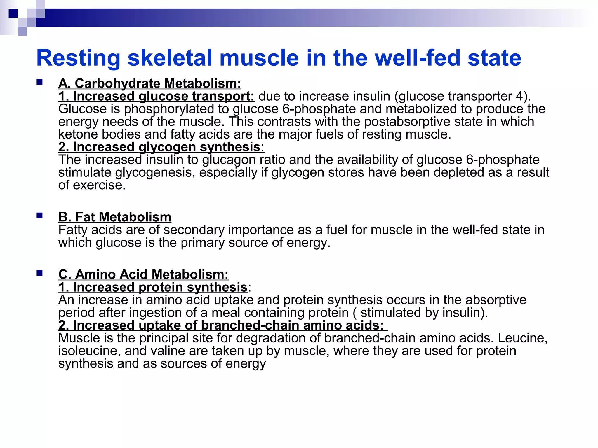 Resting skeletal muscle in the well-fed state 
 A. Carbohydrate Metabolism: 
1. Increased glucose transport: due to increase insulin (glucose transporter 4). 
Glucose is phosphorylated to glucose 6-phosphate and metabolized to produce the 
energy needs of the muscle. This contrasts with the postabsorptive state in which 
ketone bodies and fatty acids are the major fuels of resting muscle. 
2. Increased glycogen synthesis: 
The increased insulin to glucagon ratio and the availability of glucose 6-phosphate 
stimulate glycogenesis, especially if glycogen stores have been depleted as a result 
of exercise. 
 B. Fat Metabolism 
Fatty acids are of secondary importance as a fuel for muscle in the well-fed state in 
which glucose is the primary source of energy. 
 C. Amino Acid Metabolism: 
1. Increased protein synthesis: 
An increase in amino acid uptake and protein synthesis occurs in the absorptive 
period after ingestion of a meal containing protein ( stimulated by insulin). 
2. Increased uptake of branched-chain amino acids: 
Muscle is the principal site for degradation of branched-chain amino acids. Leucine, 
isoleucine, and valine are taken up by muscle, where they are used for protein 
synthesis and as sources of energy 
 