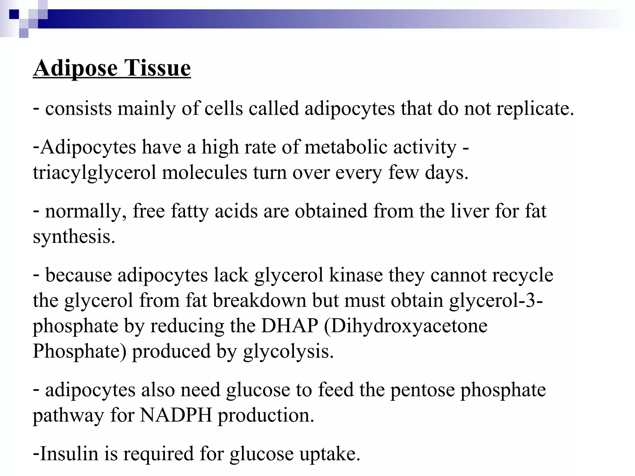 Adipose Tissue 
- consists mainly of cells called adipocytes that do not replicate. 
-Adipocytes have a high rate of metabolic activity - 
triacylglycerol molecules turn over every few days. 
- normally, free fatty acids are obtained from the liver for fat 
synthesis. 
- because adipocytes lack glycerol kinase they cannot recycle 
the glycerol from fat breakdown but must obtain glycerol-3- 
phosphate by reducing the DHAP (Dihydroxyacetone 
Phosphate) produced by glycolysis. 
- adipocytes also need glucose to feed the pentose phosphate 
pathway for NADPH production. 
-Insulin is required for glucose uptake. 
 