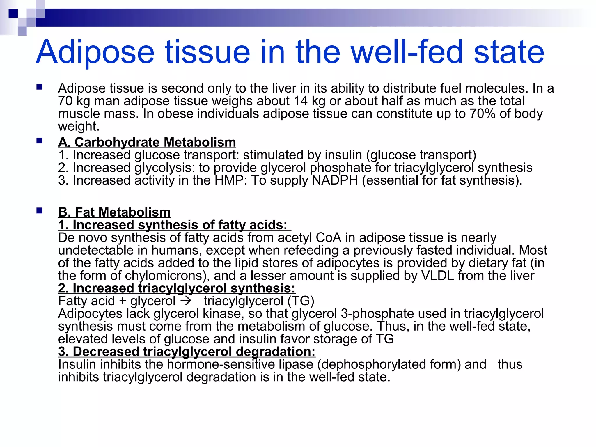 Adipose tissue in the well-fed state 
 Adipose tissue is second only to the liver in its ability to distribute fuel molecules. In a 
70 kg man adipose tissue weighs about 14 kg or about half as much as the total 
muscle mass. In obese individuals adipose tissue can constitute up to 70% of body 
weight. 
 A. Carbohydrate Metabolism 
1. Increased glucose transport: stimulated by insulin (glucose transport) 
2. Increased gIycolysis: to provide glycerol phosphate for triacylglycerol synthesis 
3. Increased activity in the HMP: To supply NADPH (essential for fat synthesis). 
 B. Fat Metabolism 
1. Increased synthesis of fatty acids: 
De novo synthesis of fatty acids from acetyl CoA in adipose tissue is nearly 
undetectable in humans, except when refeeding a previously fasted individual. Most 
of the fatty acids added to the lipid stores of adipocytes is provided by dietary fat (in 
the form of chylomicrons), and a lesser amount is supplied by VLDL from the liver 
2. Increased triacylglycerol synthesis: 
Fatty acid + glycerol  triacylglycerol (TG) 
Adipocytes lack glycerol kinase, so that glycerol 3-phosphate used in triacylglycerol 
synthesis must come from the metabolism of glucose. Thus, in the well-fed state, 
elevated levels of glucose and insulin favor storage of TG 
3. Decreased triacylglycerol degradation: 
Insulin inhibits the hormone-sensitive lipase (dephosphorylated form) and thus 
inhibits triacylglycerol degradation is in the well-fed state. 
 