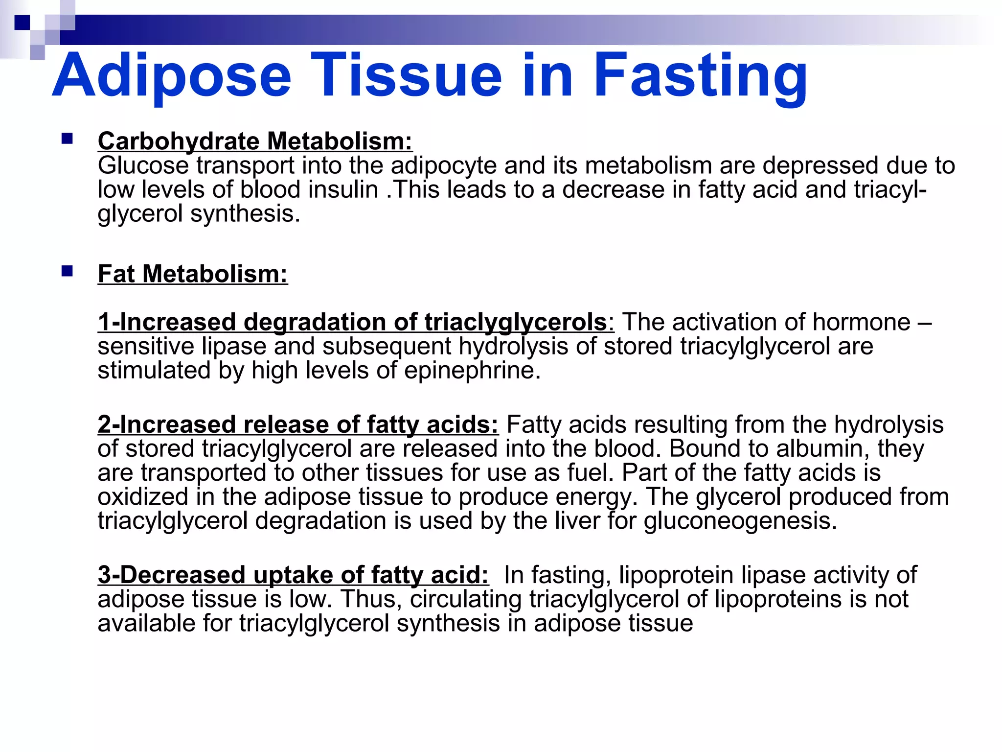 Adipose Tissue in Fasting 
 Carbohydrate Metabolism: 
Glucose transport into the adipocyte and its metabolism are depressed due to 
low levels of blood insulin .This leads to a decrease in fatty acid and triacyl-glycerol 
synthesis. 
 Fat Metabolism: 
1-Increased degradation of triaclyglycerols: The activation of hormone – 
sensitive lipase and subsequent hydrolysis of stored triacylglycerol are 
stimulated by high levels of epinephrine. 
2-Increased release of fatty acids: Fatty acids resulting from the hydrolysis 
of stored triacylglycerol are released into the blood. Bound to albumin, they 
are transported to other tissues for use as fuel. Part of the fatty acids is 
oxidized in the adipose tissue to produce energy. The glycerol produced from 
triacylglycerol degradation is used by the liver for gluconeogenesis. 
3-Decreased uptake of fatty acid: In fasting, lipoprotein lipase activity of 
adipose tissue is low. Thus, circulating triacylglycerol of lipoproteins is not 
available for triacylglycerol synthesis in adipose tissue 
 