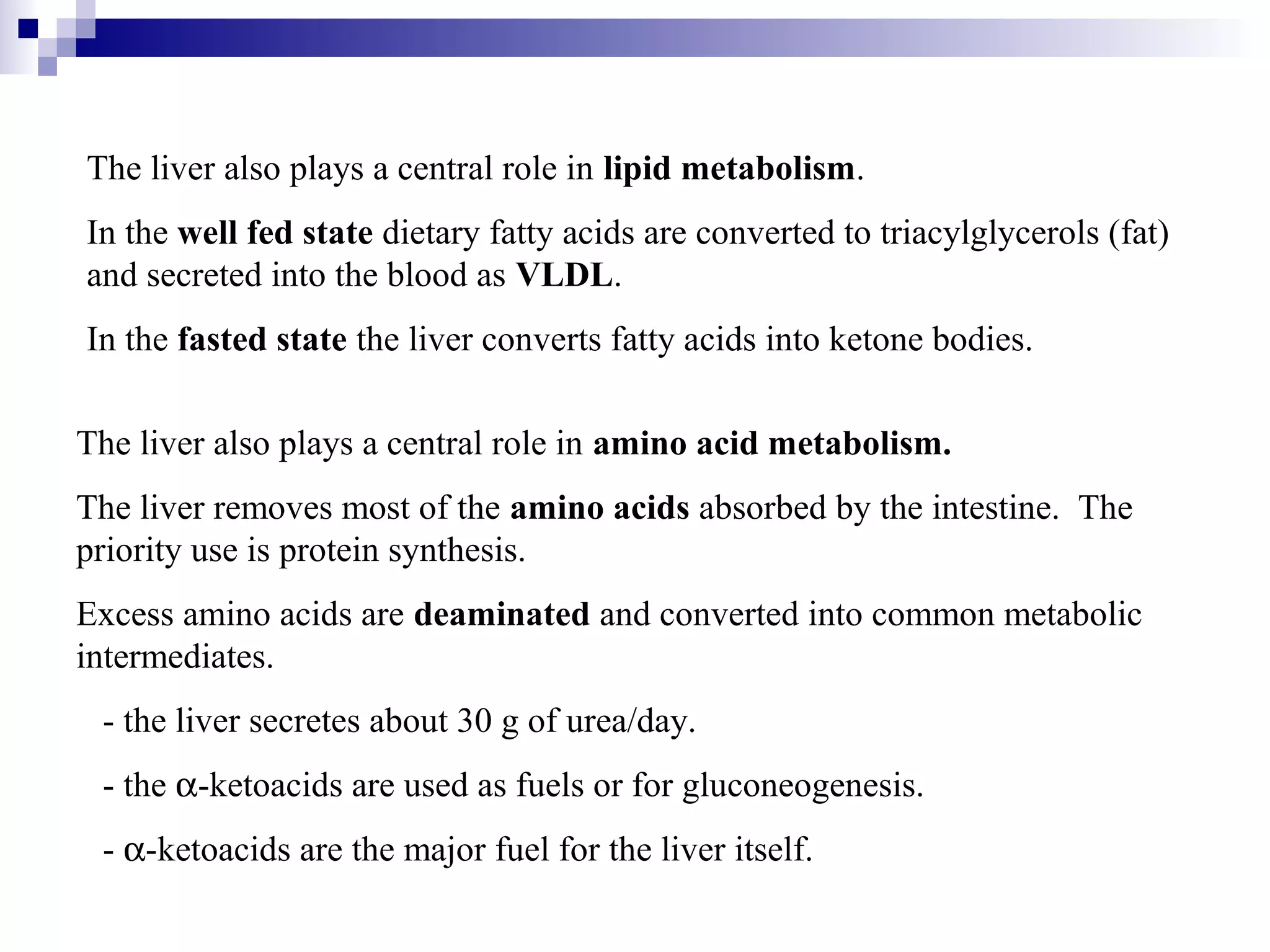 The liver also plays a central role in lipid metabolism. 
In the well fed state dietary fatty acids are converted to triacylglycerols (fat) 
and secreted into the blood as VLDL. 
In the fasted state the liver converts fatty acids into ketone bodies. 
The liver also plays a central role in amino acid metabolism. 
The liver removes most of the amino acids absorbed by the intestine. The 
priority use is protein synthesis. 
Excess amino acids are deaminated and converted into common metabolic 
intermediates. 
- the liver secretes about 30 g of urea/day. 
- the a-ketoacids are used as fuels or for gluconeogenesis. 
- a-ketoacids are the major fuel for the liver itself. 
 