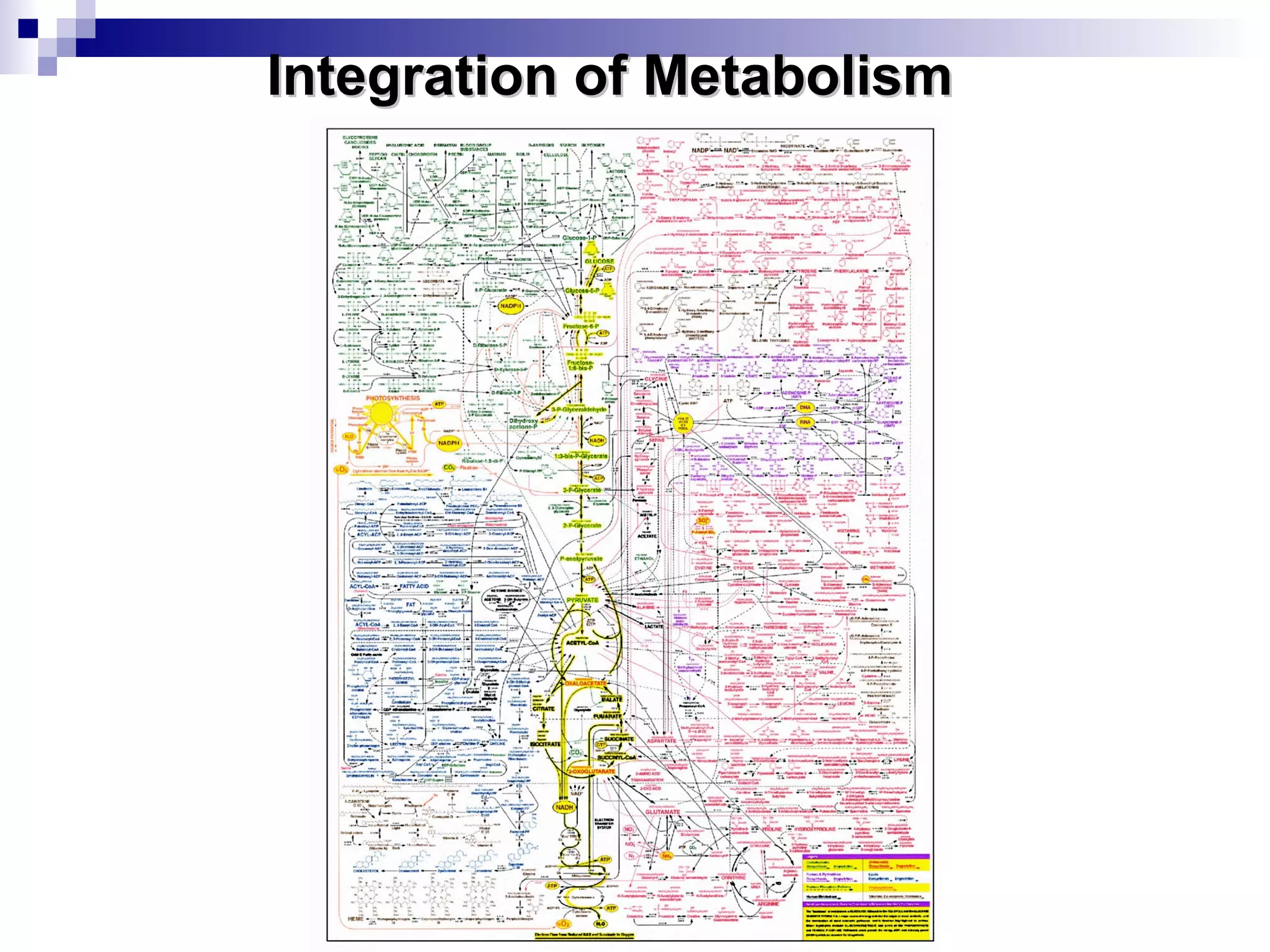IInntteeggrraattiioonn ooff MMeettaabboolliissmm 
 