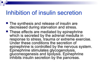 Inhibition of insulin secretion 
 The synthesis and release of insulin are 
decreased during starvation and stress. 
 These effects are mediated by epinephrine 
which is secreted by the adrenal medulla in 
response to stress, trauma or extreme exercise. 
Under these conditions the secretion of 
epinephrine is controlled by the nervous system. 
Epinephrine stimulates glycogenolysis, 
gluconeogenesis and lipolysis. Epinephrine 
inhibits insulin secretion by the pancreas. 
 