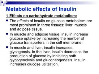 Metabolic effects of Insulin 
1-Effects on carbohydrate metabolism: 
 The effects of insulin on glucose metabolism are 
most prominent in three tissues: liver, muscle 
and adipose tissue. 
 In muscle and adipose tissue, insulin increase 
glucose uptake by increasing the number of 
glucose transporters in the cell membrane. 
 In muscle and liver, insulin increases 
glycogensis. In the liver, insulin decreases the 
production of glucose by inhibiting both 
glycogenolysis and gluconeogenesis. Insulin 
increases glucose utilization. 
 