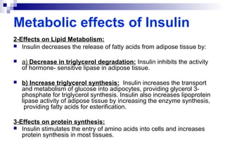Metabolic effects of Insulin 
2-Effects on Lipid Metabolism: 
 Insulin decreases the release of fatty acids from adipose tissue by: 
 a) Decrease in triglycerol degradation: Insulin inhibits the activity 
of hormone- sensitive lipase in adipose tissue. 
 b) Increase triglycerol synthesis: Insulin increases the transport 
and metabolism of glucose into adipocytes, providing glycerol 3- 
phosphate for triglycerol synthesis. Insulin also increases lipoprotein 
lipase activity of adipose tissue by increasing the enzyme synthesis, 
providing fatty acids for esterification. 
3-Effects on protein synthesis: 
 Insulin stimulates the entry of amino acids into cells and increases 
protein synthesis in most tissues. 
 