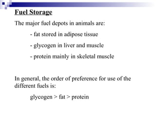 Fuel Storage 
The major fuel depots in animals are: 
- fat stored in adipose tissue 
- glycogen in liver and muscle 
- protein mainly in skeletal muscle 
In general, the order of preference for use of the 
different fuels is: 
glycogen > fat > protein 
 