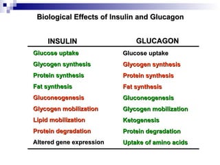 Biological Effects of Insulin aanndd GGlluuccaaggoonn 
IINNSSUULLIINN GGLLUUCCAAGGOONN 
GGlluuccoossee uuppttaakkee 
GGllyyccooggeenn ssyynntthheessiiss 
PPrrootteeiinn ssyynntthheessiiss 
FFaatt ssyynntthheessiiss 
GGlluuccoonneeooggeenneessiiss 
GGllyyccooggeenn mmoobbiilliizzaattiioonn 
LLiippiidd mmoobbiilliizzaattiioonn 
PPrrootteeiinn ddeeggrraaddaattiioonn 
AAlltteerreedd ggeennee eexxpprreessssiioonn 
GGlluuccoossee uuppttaakkee 
GGllyyccooggeenn ssyynntthheessiiss 
PPrrootteeiinn ssyynntthheessiiss 
FFaatt ssyynntthheessiiss 
GGlluuccoonneeooggeenneessiiss 
GGllyyccooggeenn mmoobbiilliizzaattiioonn 
KKeettooggeenneessiiss 
PPrrootteeiinn ddeeggrraaddaattiioonn 
UUppttaakkee ooff aammiinnoo aacciiddss 
 