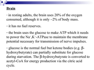 Brain 
- in resting adults, the brain uses 20% of the oxygen 
consumed, although it is only ~2% of body mass. 
- it has no fuel reserves. 
- the brain uses the glucose to make ATP which it needs 
to power the Na+,K+-ATPase to maintain the membrane 
potential necessary for transmission of nerve impulses. 
- glucose is the normal fuel but ketone bodies (e.g. b- 
hydroxybutyrate) can partially substitute for glucose 
during starvation. The b-hydroxybutyrate is converted to 
acetyl-CoA for energy production via the citric acid 
cycle. 
 