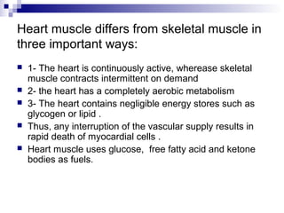 Heart muscle differs from skeletal muscle in 
three important ways: 
 1- The heart is continuously active, wherease skeletal 
muscle contracts intermittent on demand 
 2- the heart has a completely aerobic metabolism 
 3- The heart contains negligible energy stores such as 
glycogen or lipid . 
 Thus, any interruption of the vascular supply results in 
rapid death of myocardial cells . 
 Heart muscle uses glucose, free fatty acid and ketone 
bodies as fuels. 
 