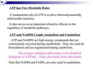 ATP has Two Metabolic Roles 
A fundamental role of ATP is to drive thermodynamically 
unfavorable reactions. 
It also serves as an important allosteric effector in the 
regulation of metabolic pathways. 
ATP and NADPH Couple Anabolism and Catabolism 
ATP and NADPH are high energy compounds that are 
continuously recycled during metabolism. They are used for 
biosynthesis and are regenerated during catabolism. 
The average sedentary adult makes over a hundred 
kilograms of ATP/day. (They also break down this much) 
Note that NADH and FADH2 are only used in catabolism. 
 