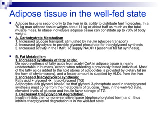 Adipose tissue in the well-fed state 
 Adipose tissue is second only to the liver in its ability to distribute fuel molecules. In a 
70 kg man adipose tissue weighs about 14 kg or about half as much as the total 
muscle mass. In obese individuals adipose tissue can constitute up to 70% of body 
weight. 
 A. Carbohydrate Metabolism 
1. Increased glucose transport: stimulated by insulin (glucose transport) 
2. Increased gIycolysis: to provide glycerol phosphate for triacylglycerol synthesis 
3. Increased activity in the HMP: To supply NADPH (essential for fat synthesis). 
 B. Fat Metabolism 
1. Increased synthesis of fatty acids: 
De novo synthesis of fatty acids from acetyl CoA in adipose tissue is nearly 
undetectable in humans, except when refeeding a previously fasted individual. Most 
of the fatty acids added to the lipid stores of adipocytes is provided by dietary fat (in 
the form of chylomicrons), and a lesser amount is supplied by VLDL from the liver 
2. Increased triacylglycerol synthesis: 
Fatty acid + glycerol  triacylglycerol (TG) 
Adipocytes lack glycerol kinase, so that glycerol 3-phosphate used in triacylglycerol 
synthesis must come from the metabolism of glucose. Thus, in the well-fed state, 
elevated levels of glucose and insulin favor storage of TG 
3. Decreased triacylglycerol degradation: 
Insulin inhibits the hormone-sensitive lipase (dephosphorylated form) and thus 
inhibits triacylglycerol degradation is in the well-fed state. 
 