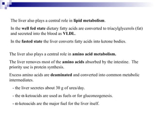 The liver also plays a central role in lipid metabolism. 
In the well fed state dietary fatty acids are converted to triacylglycerols (fat) 
and secreted into the blood as VLDL. 
In the fasted state the liver converts fatty acids into ketone bodies. 
The liver also plays a central role in amino acid metabolism. 
The liver removes most of the amino acids absorbed by the intestine. The 
priority use is protein synthesis. 
Excess amino acids are deaminated and converted into common metabolic 
intermediates. 
- the liver secretes about 30 g of urea/day. 
- the a-ketoacids are used as fuels or for gluconeogenesis. 
- a-ketoacids are the major fuel for the liver itself. 
 