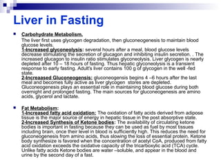 Liver in Fasting 
 Carbohydrate Metabolism. 
The liver first uses glycogen degradation, then gluconeogenesis to maintain blood 
glucose levels. 
1-Increased glyconeolysis: several hours after a meal, blood glucose levels 
decrease stimulating the secretion of glucagon and inhibiting insulin secretion. . The 
increased glucagon to insulin ratio stimulates glyconeolysis. Liver glycogen is nearly 
depleted after 10 – 18 hours of fasting. Thus hepatic glyconeolysis is a transient 
response to early fasting. Adult's liver contains 100 g of glycogen in the well -fed 
state. 
2-Increaased Gluconeogensis: gluconeogensis begins 4 –6 hours after the last 
meal and becomes fully active as liver glycogen stores are depleted. 
Gluconeogenesis plays an essential role in maintaining blood glucose during both 
overnight and prolonged fasting. The main sources for gluconeogenesis are amino 
acids, glycerol and lactate. 
 Fat Metabolism: 
1-Increased fatty acid oxidation: The oxidation of fatty acids derived from adipose 
tissue is the major source of energy in hepatic tissue in the post absorptive state. 
2-Increased Synthesis of Ketone bodies: The availability of circulating ketone 
bodies is important in fasting because they can be used as fuel by most tissues 
including brain, once their level in blood is sufficiently high. This reduces the need for 
gluconeogenesis from amino acids, thus slowing the loss of essential protein. Ketone 
body synthesize is favored when the concentration of acetyl CoA, produced from fatty 
acid oxidation exceeds the oxidative capacity of the tricarboxylic acid (TCA) cycle. 
Unlike fatty acids Ketone bodies are water –soluble, and appear in the blood and 
urine by the second day of a fast. 
 