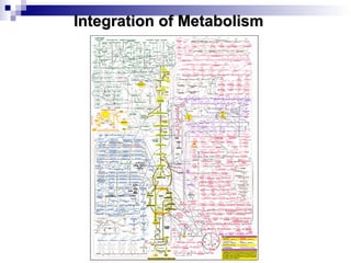 IInntteeggrraattiioonn ooff MMeettaabboolliissmm 
 