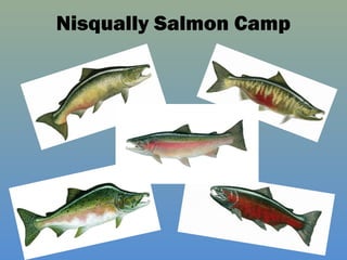 Nisqually Salmon Camp 
 