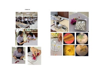 ภำคผนวก
 