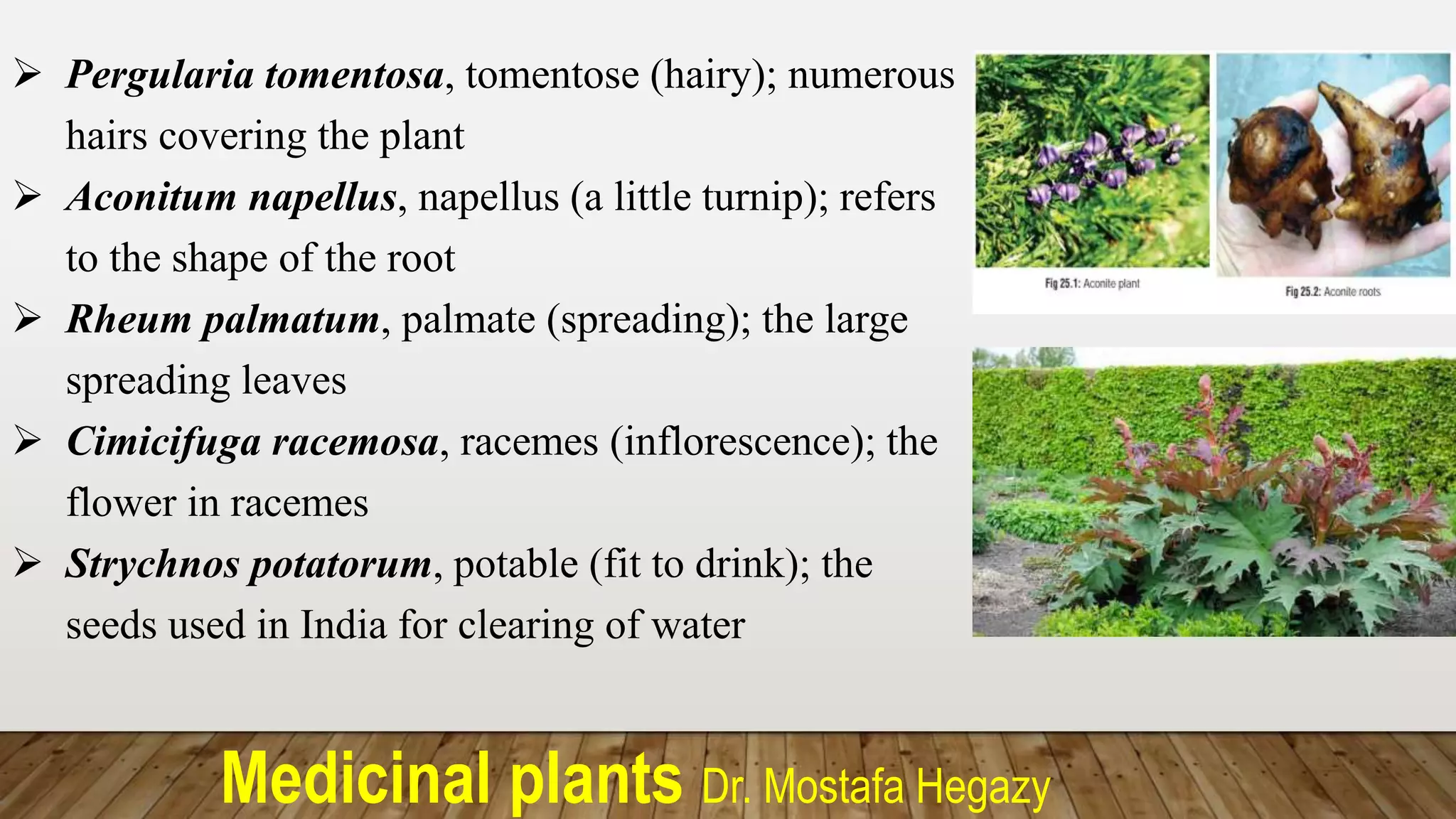 1-Medicinal_plants_def.(s)_and_drug_descr..pptx