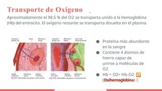 sistema-respiratorio generalidades y partes.pptx