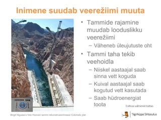 Vaike Rootsmaa J6gede veereziim | PPT