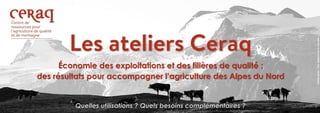 Économie des exploitations et des filières de qualité :
des résultats pour accompagner l’agriculture des Alpes du Nord
Créditphoto:ParcNationaldelaVanoise
 