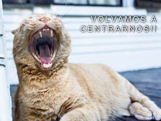 V O L V A M O S A
C E N T R A R N O S ! !
 