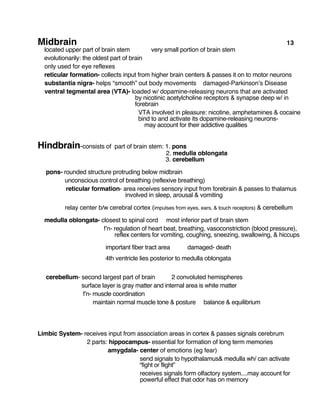Midbrain 13
located upper part of brain stem very small portion of brain stem
evolutionarily: the oldest part of brain
only used for eye reflexes
reticular formation- collects input from higher brain centers & passes it on to motor neurons
substantia nigra- helps “smooth” out body movements damaged-Parkinson’s Disease
ventral tegmental area (VTA)- loaded w/ dopamine-releasing neurons that are activated
by nicotinic acetylcholine receptors & synapse deep w/ in
forebrain
VTA involved in pleasure: nicotine, amphetamines & cocaine
bind to and activate its dopamine-releasing neurons-
may account for their addictive qualities
Hindbrain-consists of part of brain stem: 1. pons
2. medulla oblongata
3. cerebellum
pons- rounded structure protruding below midbrain
unconscious control of breathing (reflexive breathing)
reticular formation- area receives sensory input from forebrain & passes to thalamus
involved in sleep, arousal & vomiting
relay center b/w cerebral cortex (impulses from eyes, ears, & touch receptors) & cerebellum
medulla oblongata- closest to spinal cord most inferior part of brain stem
f’n- regulation of heart beat, breathing, vasoconstriction (blood pressure),
reflex centers for vomiting, coughing, sneezing, swallowing, & hiccups
important fiber tract area damaged- death
4th ventricle lies posterior to medulla oblongata
cerebellum- second largest part of brain 2 convoluted hemispheres
surface layer is gray matter and internal area is white matter
f’n- muscle coordination
maintain normal muscle tone & posture balance & equilibrium
Limbic System- receives input from association areas in cortex & passes signals cerebrum
2 parts: hippocampus- essential for formation of long term memories
amygdala- center of emotions (eg fear)
send signals to hypothalamus& medulla wh/ can activate
“fight or flight”
receives signals form olfactory system....may account for
powerful effect that odor has on memory
 