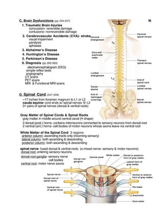 C. Brain Dysfunctions (pp 244-247) 16
1. Traumatic Brain Injuries
concussion- reversible damage
contusions- nonreversible damage
2. Cerebrovascular Accidents (CVA)- stroke
visual impairment
paralysis
aphasias
3. Alzheimer’s Disease
4. Huntington’s Disease
5. Parkinson’s Disease
6. Diagnosis (pp 262-263)
electroencephalogram (EEG)
simple reflex tests
angiography
CT scans
PET scans
MRI & Functional MRI scans
D. Spinal Cord (247-249)
~17 inches from foramen magnum to L1 or L2
cauda equina- cord ends w/ spinal nerves @ L2
31 pairs of spinal nerves (dorsal & ventral roots)
Gray Matter of Spinal Cords & Spinal Roots
gray matter in middle around central canal (H shape)
2 dorsal (post.) horns- contains interneurons connected to sensory neurons from dorsal root
2 ventral (ant.) horns- cell bodies of motor neurons whose axons leave via ventral root
White Matter of the Spinal Cord 3 regions
anterior column: ascending tracts only (incoming sensory)
lateral column: both ascending & descending
posterior column: both ascending & descending
spinal nerve- fused dorsal & ventral roots (a mixed nerve- sensory & motor neurons)
dorsal root: entering sensory neurons
dorsal root ganglia- sensory nerve
cell bodies
ventral root: motor nerve axons
 