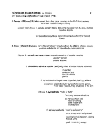 Functional Classification (pp 223-224) 2
only deals with peripheral nervous system (PNS)
1. Sensory (Afferent) Division- nerve fibers that carry impulses to the CNS from sensory
receptors located throughout body
sensory fibers types: 1. somatic sensory fibers- delivering impulses from the skin, skeletal
muscles, & joints
2. visceral sensory fibers- transmitting impulses from the visceral
organs
2. Motor (Efferent) Division- nerve fibers that carry impulses from the CNS to effector organs
ossicles and glands, bringing about a motor response
2 types: 1. somatic nervous system: conscious control of skeletal muscles
voluntary control
skeletal muscles
2. autonomic nervous system (ANS)- regulates activities that are automatic
involuntary
cardiac muscle
smooth muscle
glands
2 nerve types that target same organ but yield opp. effects
exception: targeted only by sympathetic: some glands,
most blood vessels, most structures of the skin
2 types: 1. sympathetic-” fight or flight”
f’ns during extreme situations
ex: increase heart rate
rapid breathing
cold, sweaty skin
dilated pupils
2. parasympathetic- “resting & digesting”
most active when body at rest
causing normal digestion, voiding
feces & urine
goal: conserving energy
 