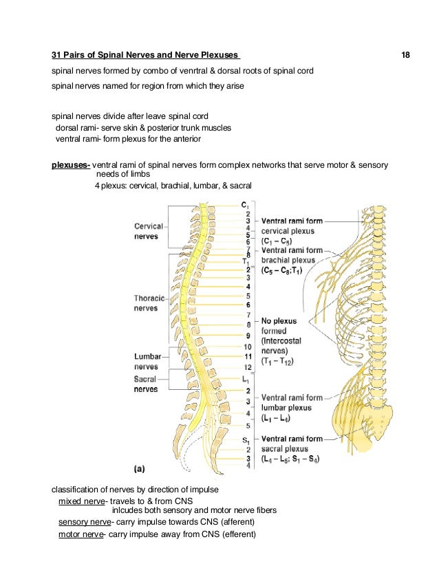 Ch7 notes1