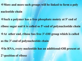 More and more such groups will be linked to form a poly
nucleotide chain
Such a polymer has a free phosphate moiety at 5’ end of
ribose sugar and it is called as 5’-end of polynucleotide chain
At other end, ribose has free 3’-OH group which is called
as the 3’-end of polynucleotide chain
In RNA, every nucleotide has an additional-OH present at
2’-position of ribose
 
