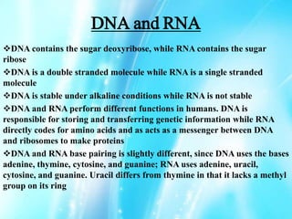DNA and RNA
DNA contains the sugar deoxyribose, while RNA contains the sugar
ribose
DNA is a double stranded molecule while RNA is a single stranded
molecule
DNA is stable under alkaline conditions while RNA is not stable
DNA and RNA perform different functions in humans. DNA is
responsible for storing and transferring genetic information while RNA
directly codes for amino acids and as acts as a messenger between DNA
and ribosomes to make proteins
DNA and RNA base pairing is slightly different, since DNA uses the bases
adenine, thymine, cytosine, and guanine; RNA uses adenine, uracil,
cytosine, and guanine. Uracil differs from thymine in that it lacks a methyl
group on its ring
 