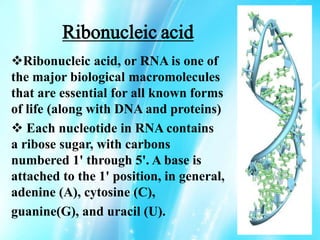 Ribonucleic acid
Ribonucleic acid, or RNA is one of
the major biological macromolecules
that are essential for all known forms
of life (along with DNA and proteins)
 Each nucleotide in RNA contains
a ribose sugar, with carbons
numbered 1' through 5'. A base is
attached to the 1' position, in general,
adenine (A), cytosine (C),
guanine(G), and uracil (U).
 