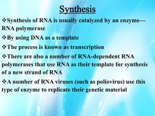 Synthesis
Synthesis of RNA is usually catalyzed by an enzyme—
RNA polymerase
By using DNA as a template
The process is known as transcription
There are also a number of RNA-dependent RNA
polymerases that use RNA as their template for synthesis
of a new strand of RNA
A number of RNA viruses (such as poliovirus) use this
type of enzyme to replicate their genetic material
 