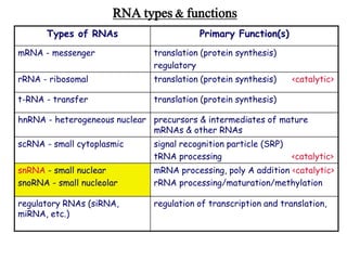 D Dobbs ISU - BCB 444/544X:
RNA Structure Prediction
RNA types & functions
Types of RNAs Primary Function(s)
mRNA - messenger translation (protein synthesis)
regulatory
rRNA - ribosomal translation (protein synthesis) <catalytic>
t-RNA - transfer translation (protein synthesis)
hnRNA - heterogeneous nuclear precursors & intermediates of mature
mRNAs & other RNAs
scRNA - small cytoplasmic signal recognition particle (SRP)
tRNA processing <catalytic>
snRNA - small nuclear
snoRNA - small nucleolar
mRNA processing, poly A addition <catalytic>
rRNA processing/maturation/methylation
regulatory RNAs (siRNA,
miRNA, etc.)
regulation of transcription and translation,
L Samaraweera 2005
 