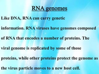 RNA genomes
Like DNA, RNA can carry genetic
information. RNA viruses have genomes composed
of RNA that encodes a number of proteins. The
viral genome is replicated by some of those
proteins, while other proteins protect the genome as
the virus particle moves to a new host cell.
 