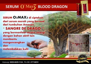SERUM O2MAX3 di ciptakan
dari serum merah yang berasal
dari tumbuhan Amazon
" SANGRE DE DRAGO “
yang bermanfaat secara sinergi
dengan bahan aktif lain
membantu
mengencangkan
dan
melembabkan kulit
SERUM BLOOD DRAGON
 