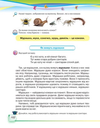 Назви тварин, зображених на малюнку. Визнач, які з них комахи.
За якими ознаками визначають комах?
Поясни, чому бджола — комаха.
Мурашка, муха, сонечко, хрущ, джміль — це комахи.
Як живуть мурашки
Відгадай загадку.
Є у лісі хата, в ній кімнат багато.
Тут живе отара добрих санітарів.
Ти цю хату не чіпай — санітарам спокій дай.
Так, це мурашник, а в ньому живуть мурашки. Кожна з них має
свої обов’язки. Мурашки дуже корисні. Вони знищують шкідни­
ків лісу. Наприклад, гусениць, які поїдають листя рослин. Мураш­
ки все роблять дуже старанно. Мурашки-робітники, наприклад,
дбають, щоб у коморах було вдосталь поживи. Вони її приносять
іншим мурахам. Мурашки-вартові охороняють мурашник від во­
рогів, а мурашки-розвідники шукають поживу й сповіщають му-
рашок-робітників. У мурашнику ще є мурашки-няньки, мурашки-
санітари.
Мурашки — найдавніші комахи на планеті. Вони не дуже відріз­
няються від своїх прадавніх родичів. Деякі мурашки можуть про­
лежати під водою декілька днів та оживають, якщо їх перемістити
в сухе тепле місце.
Напевно, тобі доводилося чути, що мурашки дуже сильні тва­
рини. Це справді так. Мурашка може підняти вагу, яка майже в сто
разів важча за неї.
Дізнайся, яку роботу виконують мурашки-няньки та мурашки-санітари.
 