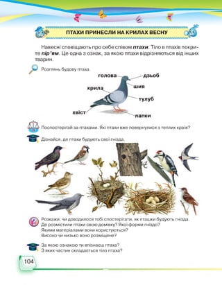 ПТАХИ ПРИНЕСЛИ НА КРИЛАХ ВЕСНУ
ХЮ£Ю£Ю£Ю£Ю£Ю£Ю£Ю£Ю£Ю£Ю£Ю£ОЭ£Ю£Ю£Ю£Ю£Ю£Ю£Ю£Ю£Ю£Ю£Ю£Ю£ЮХЭ£Ю£Ю£Ю£Ю£Ю£Ю£}£Ю
Навесні сповіщають про себе співом птахи. Тіло в птахів покри­
те пір'ям. Це одна з ознак, за якою птахи відрізняються від інших
тварин.
Розглянь будову птаха.
голова дзьоб
хвіст
крила шия
тулуб
апки
Поспостерігай за птахами. Які птахи вже повернулися з теплих країв?
Дізнайся, де птахи будують свої гнізда.
Розкажи, чи доводилося тобі спостерігати, як пташки будують гнізда.
Де розмістили птахи свою домівку? Якої форми гніздо?
Якими матеріалами вони користуються?
Високо чи низько воно розміщене?
За якою ознакою ти впізнаєш птаха?
З яких частин складається тіло птаха?
 