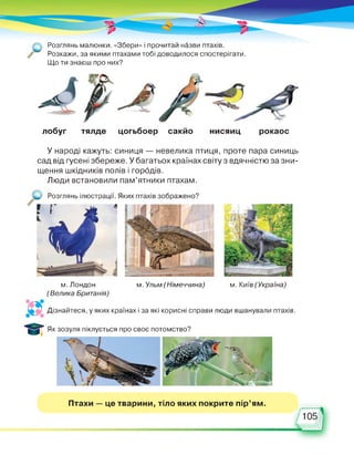 (О Розглянь малюнки. «Збери» і прочитай назви птахів.
Розкажи, за якими птахами тобі доводилося спостерігати.
Що ти знаєш про них?
лобуг тялде цогьбоер сакйо нисяиц рокаос
У народі кажуть: синиця — невелика птиця, проте пара синиць
сад від гусені збереже. У багатьох країнах світу з вдячністю за зни­
щення шкідників полів і городів.
Люди встановили пам’ятники птахам.
Розглянь ілюстрації. Яких птахів зображено?
м. Ульм (Німеччина) м. Київ (Україна)м. Лондон
(Велика Британія)
Дій ................................................................................................. і
Дізнайтеся, у яких країнах і за які корисні справи люди вшанували птахів.
Як зозуля піклується про своє потомство?
Птахи — це тварини, тіло яких покрите пір'ям.
105
 