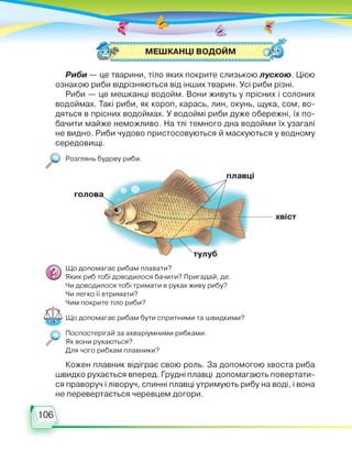Риби — це тварини, тіло яких покрите слизькою лускою. Цією
ознакою риби відрізняються від інших тварин. Усі риби різні.
Риби — це мешканці водойм. Вони живуть у прісних і солоних
водоймах. Такі риби, як короп, карась, лин, окунь, щука, сом, во­
дяться в прісних водоймах. У водоймі риби дуже обережні, їх по­
бачити майже неможливо. На тлі темного дна водойми їх узагалі
не видно. Риби чудово пристосовуються й маскуються у водному
середовищі.
Розглянь будову риби.
голов
хвіст
Що допомагає рибам плавати?
Яких риб тобі доводилося бачити? Пригадай, де.
Чи доводилося тобі тримати в руках живу рибу?
Чи легко її втримати?
Чим покрите тіло риби?
Що допомагає рибам бути спритними та швидкими?
Я
Поспостерігай за акваріумними рибками.
Як вони рухаються?
Для чого рибкам плавники?
Кожен плавник відіграє свою роль. За допомогою хвоста риба
швидко рухається вперед. Грудні плавці допомагають повертати­
ся праворуч і ліворуч, спинні плавці утримують рибу на воді, і вона
не перевертається черевцем догори.
 