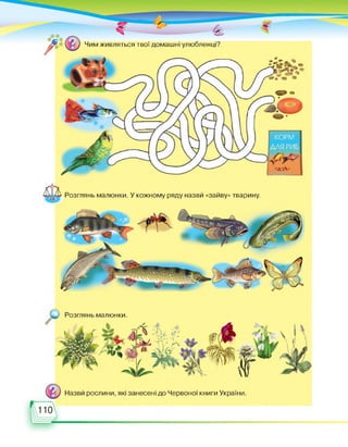 Чим живляться твої домашні улюбленці?
Розглянь малюнки. У кожному ряду назви «зайву» тварину.
Назви рослини, які занесені до Червоної книги України
110
Розглянь малюнки
ї Мс / ; * 'Ч'Т
-гЛи. ■ іИиі гі —і« /І/ •
 